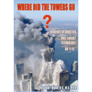 Where Did The Towers Go?